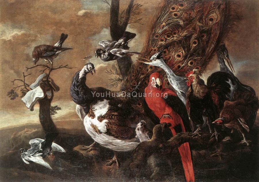 Bird Concert - 简·法伊特